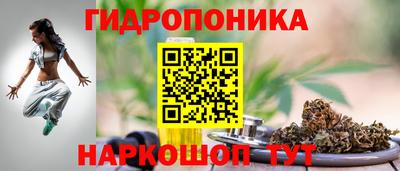 твердый Лесосибирск