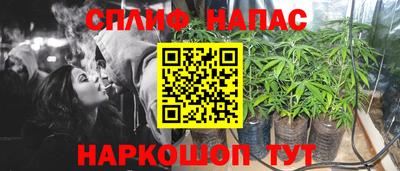 твердый Лесосибирск