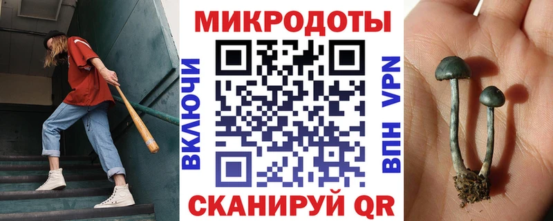 Галлюциногенные грибы MAGIC MUSHROOMS  закладки  Грозный 