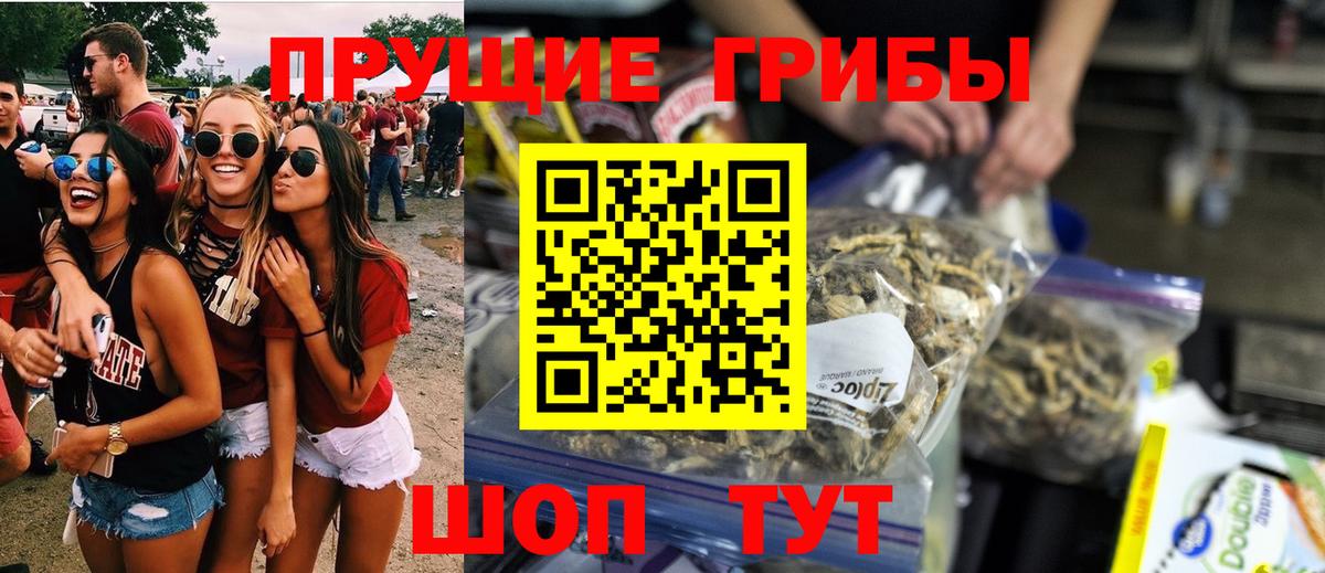 Галлюциногенные грибы GOLDEN TEACHER Грозный