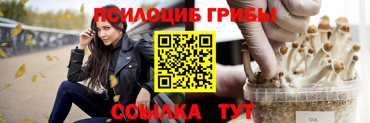 Грозный  Галлюциногенные грибы мицелий  Псилоцибиновые грибы Psilocybine cubensis  Вход с VPN 